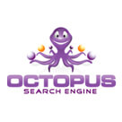 Octopus SEO Logo Design