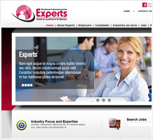 Experts Human Resource Web Design