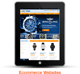 Ecommerce Website Design and Development 